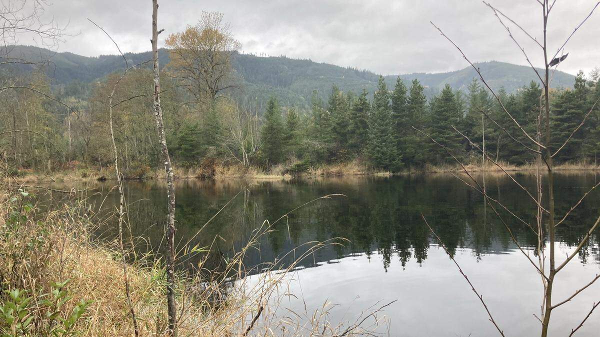 Whatcom County recently used its Conservation Futures Fund to buy 124 acres of land in the Nooksack River floodplain bear Acme, Wash., show in an undated photo.