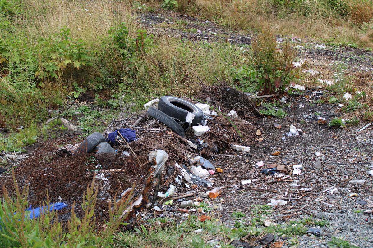 Tires are part of the trash scattered on Sumas Mountain in Deming Thursday, Aug. 4. Illegal dumping, shooting and trail building has caused the Washington State Department of Natural Resources to close the historic recreation area to motor vehicles until Sept. 1.