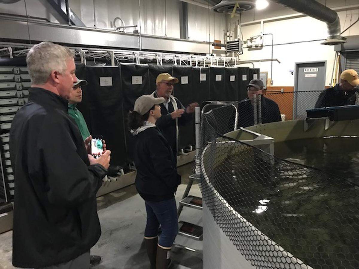 Washington state officials tour the Macaulay Salmon Hatchery in Juneau, Alaska, in summer of 2019. The hatchery model used by Alaska has caught interest in Bellingham where the nonprofit San Juan AREA Sea Life is considering putting in a large hatchery on the waterfront.