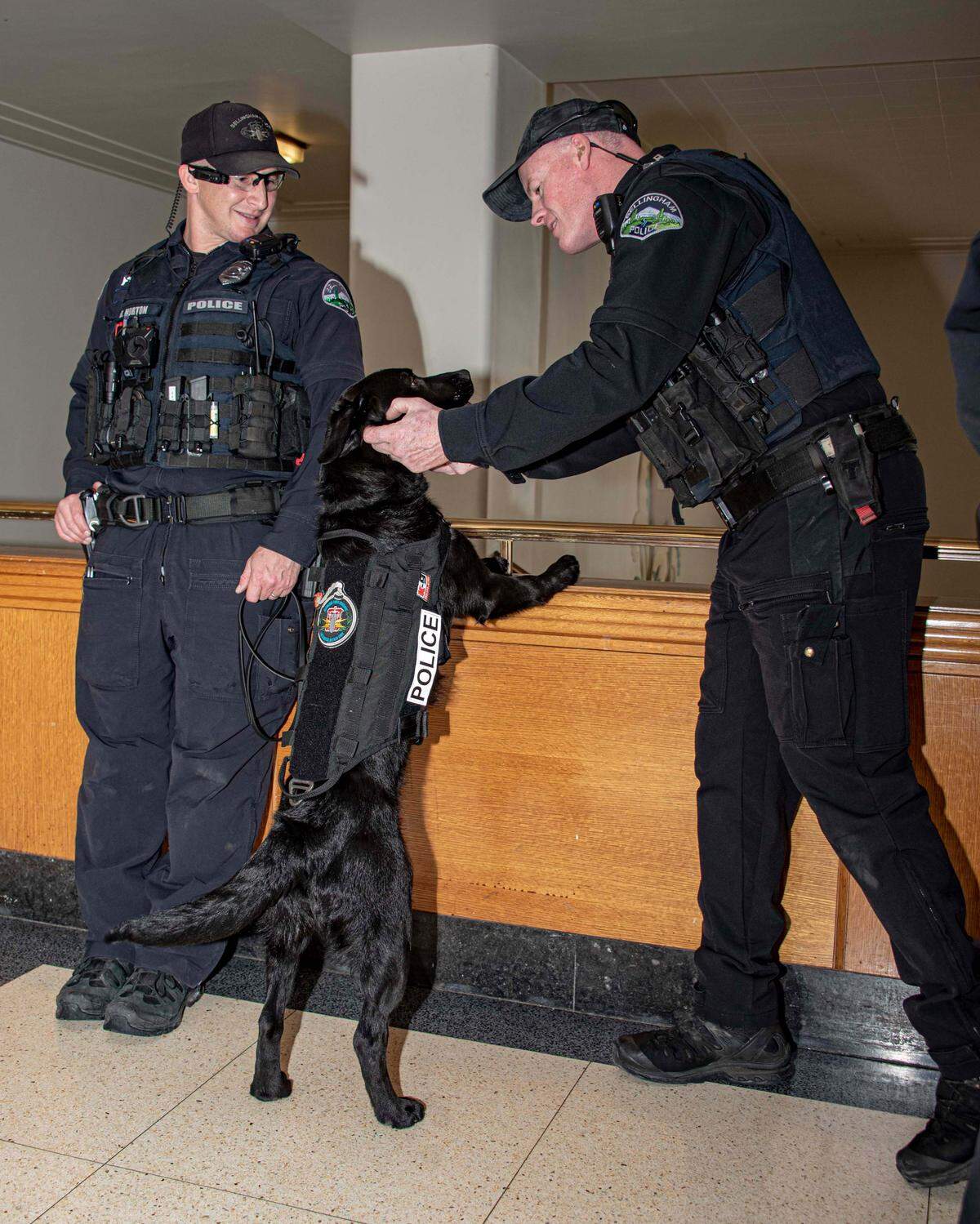 Bellingham Police Officer Officer Shan Hanon pets K-9 Raven, while Bomb Technician Officer Benjamin Horton looks on. K-9 Raven was introduced Monday, to the Bellingham City County as the department’s newest police dog.