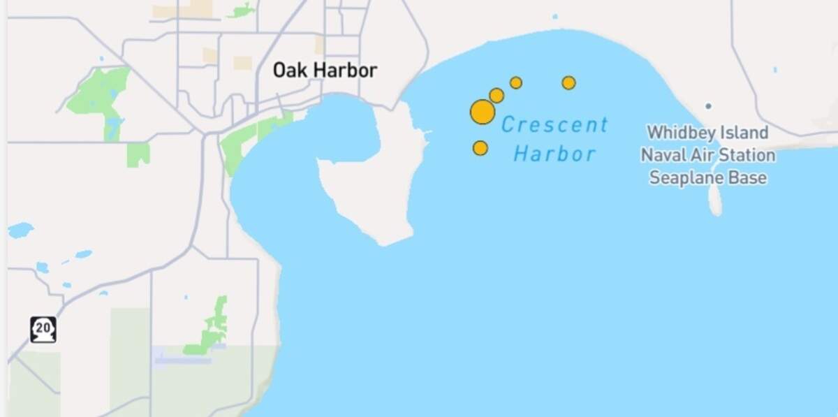 Instruments at the University of Washington’s Pacific Northwest Seismic Network and the U.S. Geological Survey measured the quake at a magnitude of 3.8 at 11:35:47 p.m. Wednesday, July 1, 2026. It was centered just off the city of Oak Harbor at a depth of 15.72 miles.