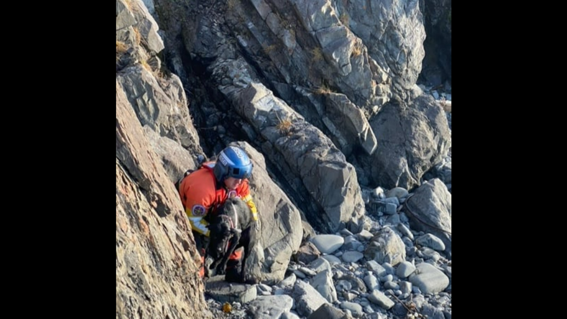 A puppy presumed dead in a shipwreck off Alaska was rescued from the bottom of a cliff by the U.S. Coast Guard. The dog was reunited with the boat’s crew.