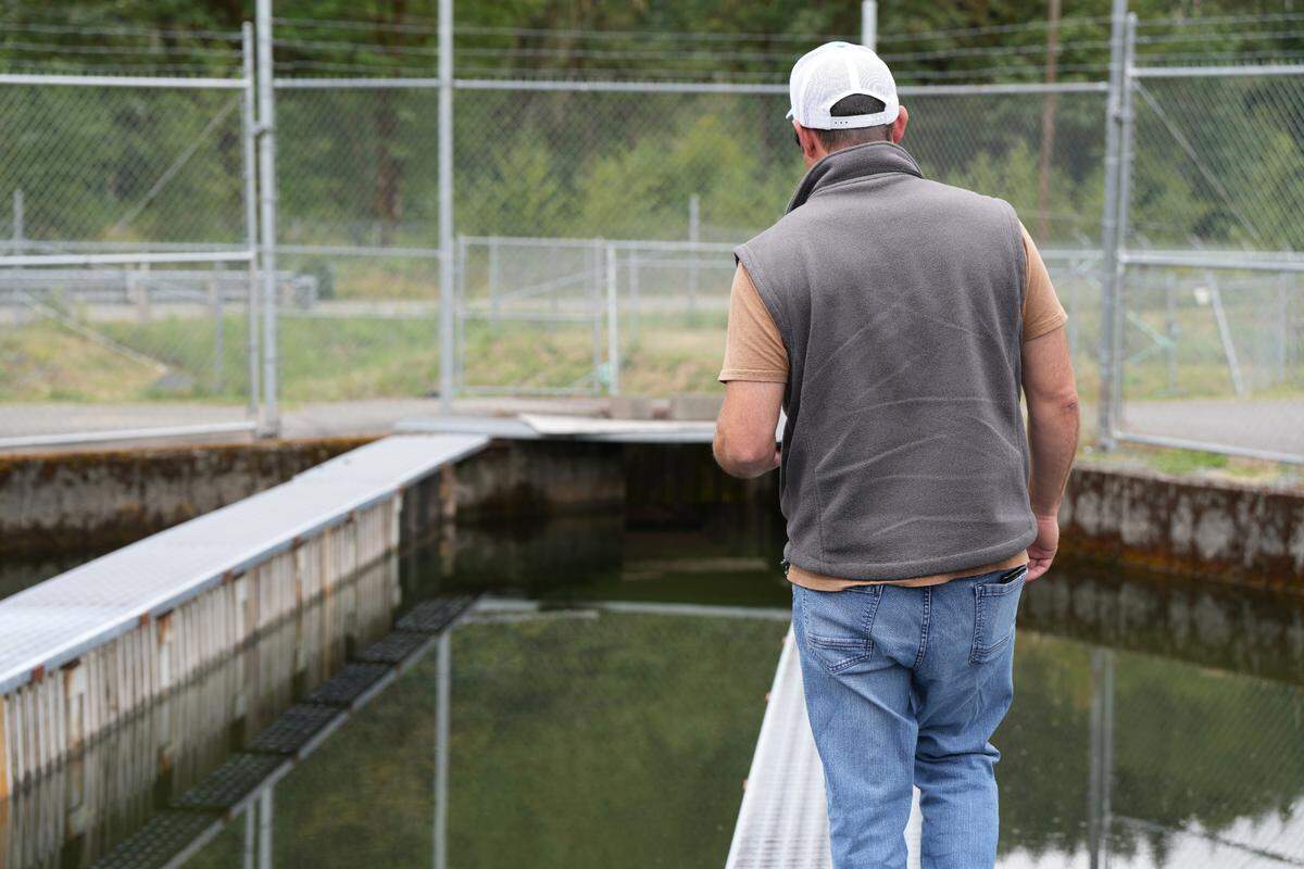 Lummi Nation Salmon Enhancement Manager Tom Chance stands atop the Skookum Creek Fish Hatchery brood pond near Acme, Wash. on Aug. 21, 2024.