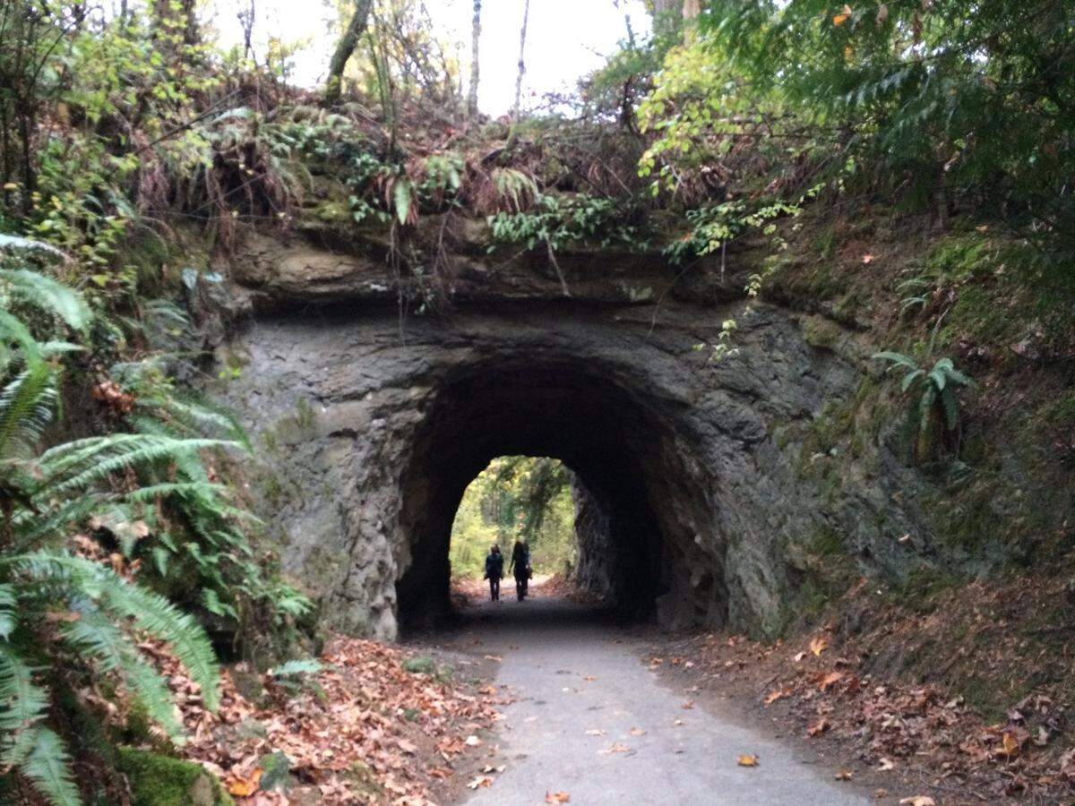 A tunnel bored through rock in the 1920s was once part of a road on Sehome Hill in Bellingham and now is part of a walking path within Sehome Hill Arboretum.