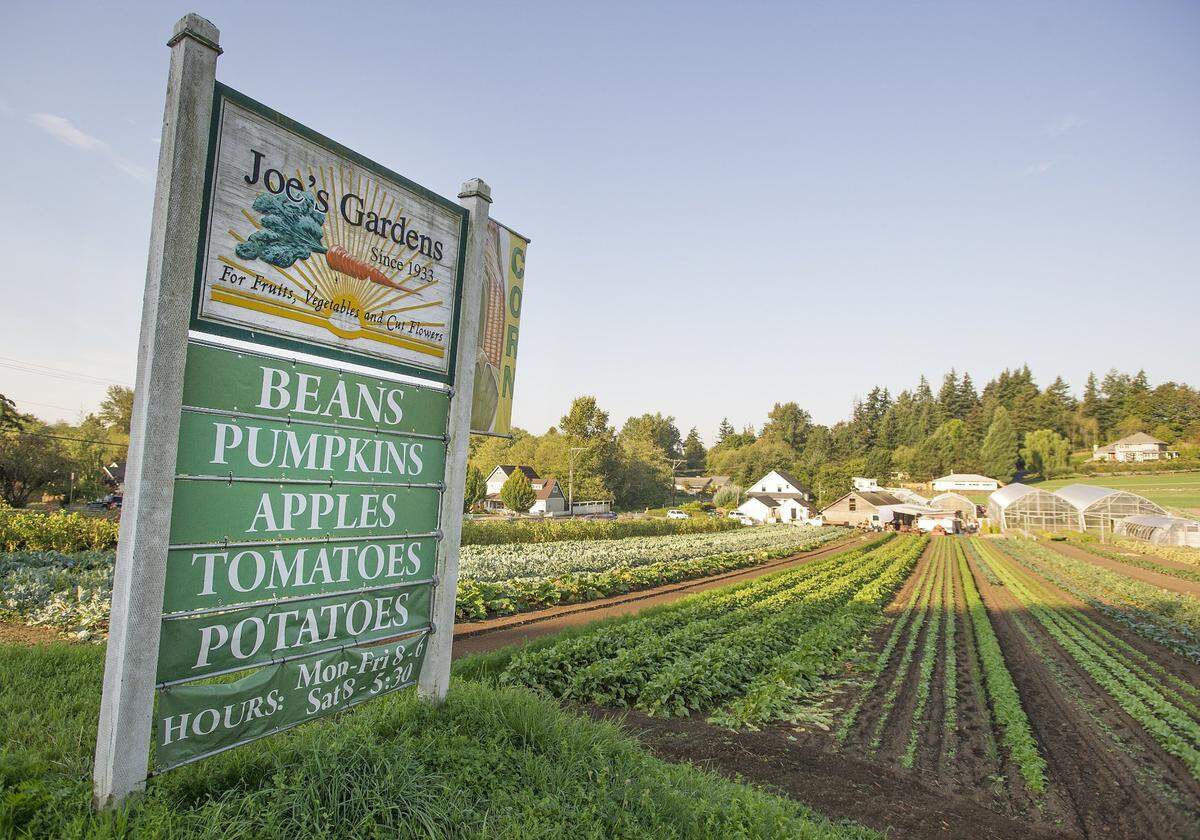 Joe’s Garden in Bellingham offers plants plus fruits and vegetables.