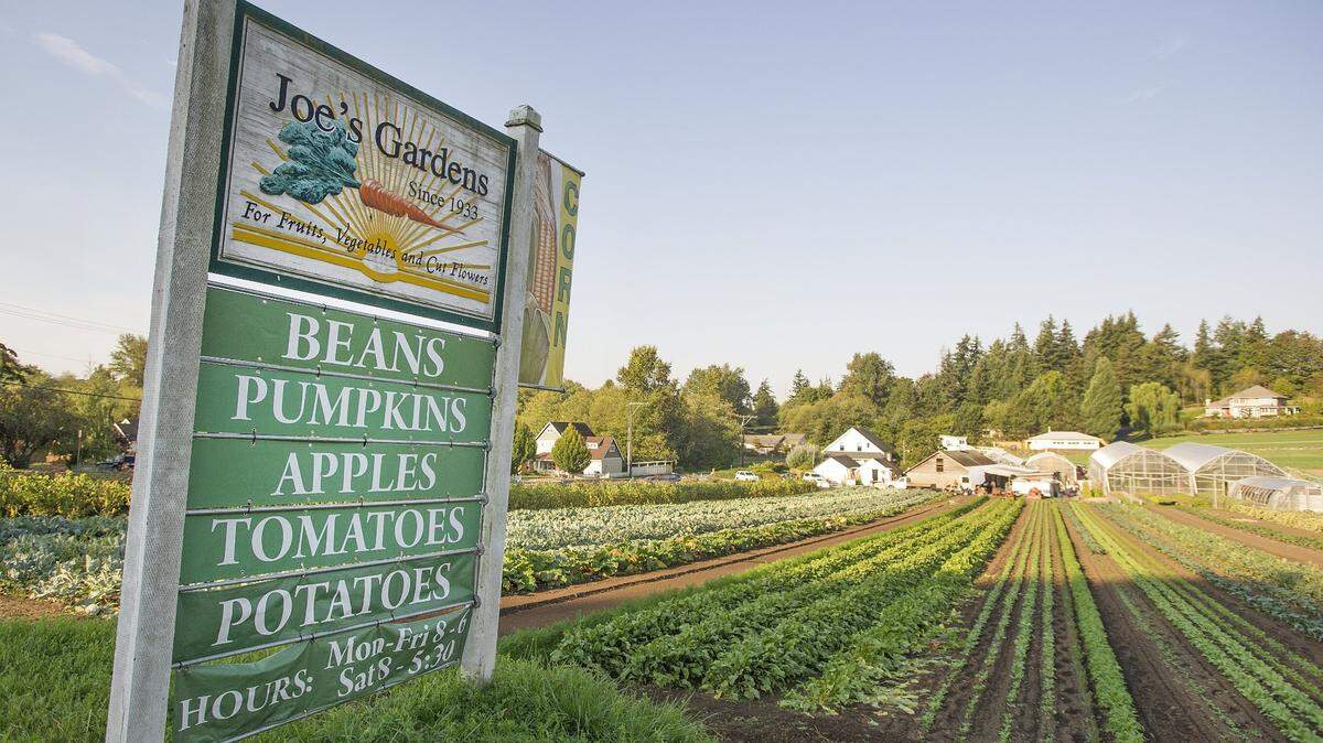 Joe’s Garden at 3110 Taylor Ave. in Bellingham.