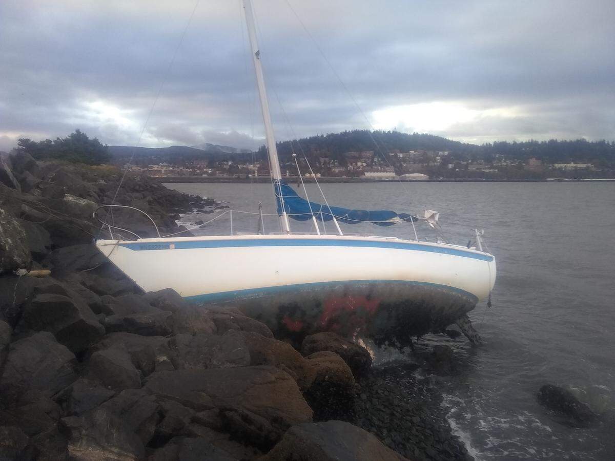 A sailboat that broke loose from an anchor in Fairhaven, drifted across Bellingham Bay and came to rest Oct. 7 on the rocks near Zuanich Point Park will likely stay where’s it’s at until mid-November.