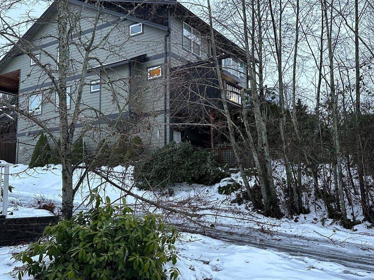 A tree branch brought down by ice early Saturday, Dec. 24, in the Barkley area of Bellingham. City crews responded to a number of trees over the roadway&nbsp;early Saturday. To report downed trees or for other service requests, call the city’s 24/7 response line at 360-778-7700.
