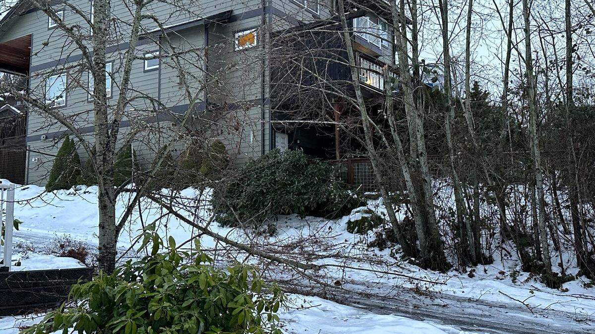 A tree branch brought down by ice early Saturday, Dec. 24, in the Barkley area of Bellingham. City crews responded to a number of trees over the roadway early Saturday. To report downed trees or for other service requests, call the city’s 24/7 response line at 360-778-7700.