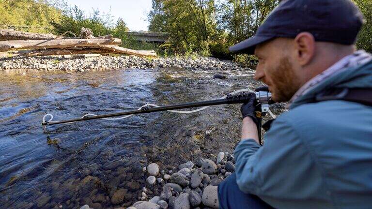 Statewide analysis of aquatic life shifts attention to Whatcom County waterways