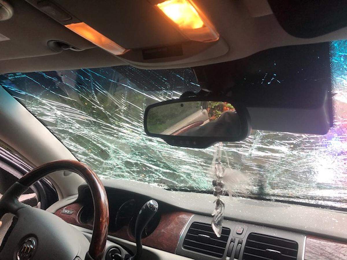 Bellingham Deborah and Joseph Bernard miraculously walked away unhurt from a wind-blown 100-foot tree hitting their Buick near Quilcene while they were returning home from Thanksgiving weekend on the Olympic Peninsula.