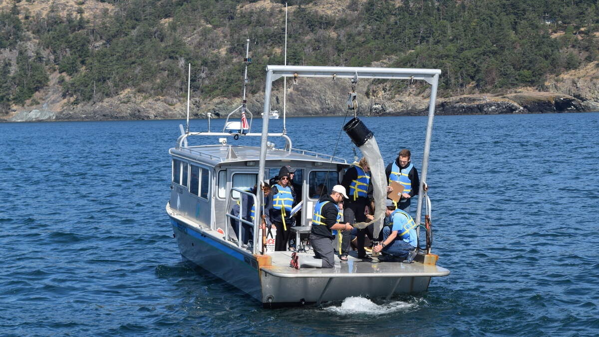 WWU’s new research vessel will be built from scratch to meet school’s needs
