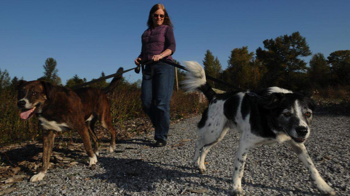 ‘Leash your dog, dammit.’ Why control is critical when leaving home with your pets