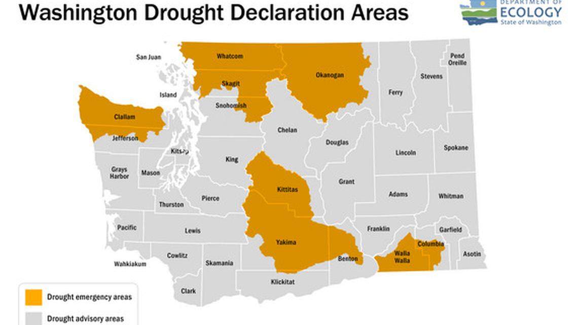 Some wells have gone dry in Ferndale as the state Department of Ecology issued a drought declaration Monday, July 24, 2023.