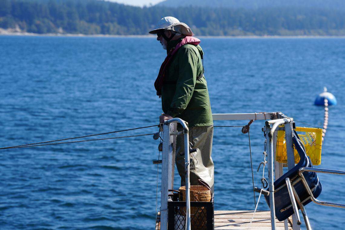 Riley Starks watches for salmon from a high tower on his reef net fishing boat off Lummi Island on Sept. 14, 2023.
