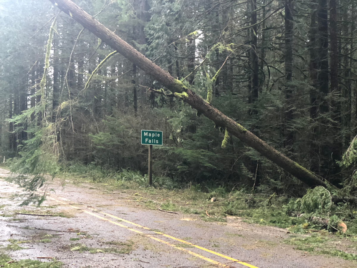 Downed trees and branches cover a road in Maple Falls Dec. 20 after a windstorm that left thousands without power for several days.