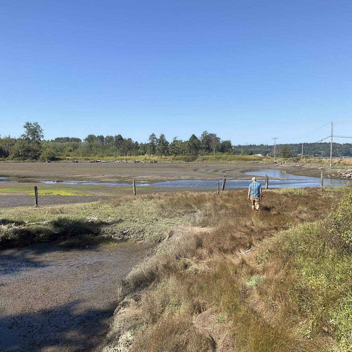 Mudflats in Drayton Harbor near California Creek are shown in an undated photo that was part of the Whatcom Land Trust’s grant application for funds from the state Department of Fish and Wildlife and the state Recreation and Conservation Office.