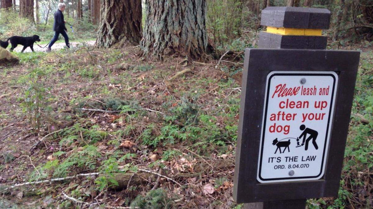 Signs remind Bellingham-area residents to properly deal with dog waste on trails. Pet waste is likely causing water quality problems throughout the city, with harmful levels of fecal coliform bacteria found in all of Bellingham’s urban creeks, making them unsafe for recreation, according to the city of Bellingham.