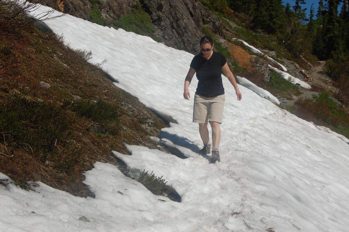 A hiker crosses a snowy pitch across a trail below Heather Meadows in the Mount Baker-Snoqualmie National Forest in early September 2011. Mount Baker Highway opened Aug. 5 from its winter closure that year, and only to Heather Meadows, which is below Artist Point. The winter of 2010-2011 was a strong La Niña year, according to weather records.