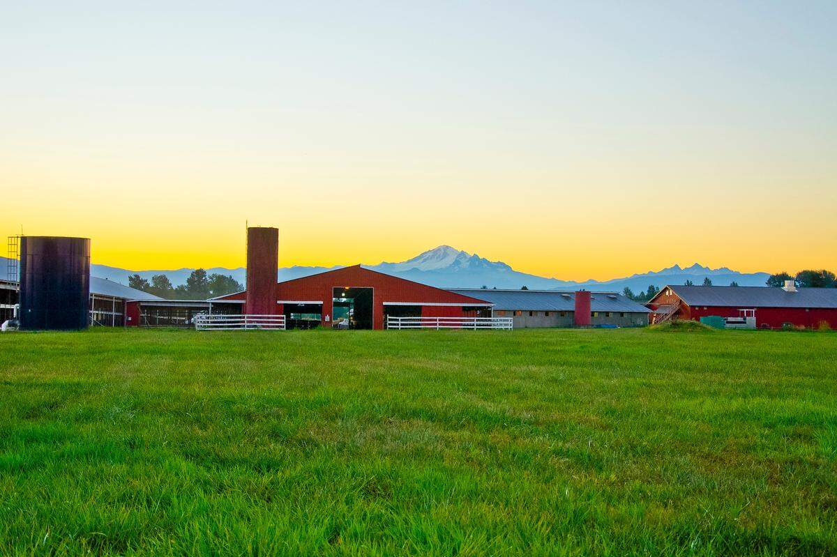 Western Waves, a dairy farm in Ferndale, at sunrise.