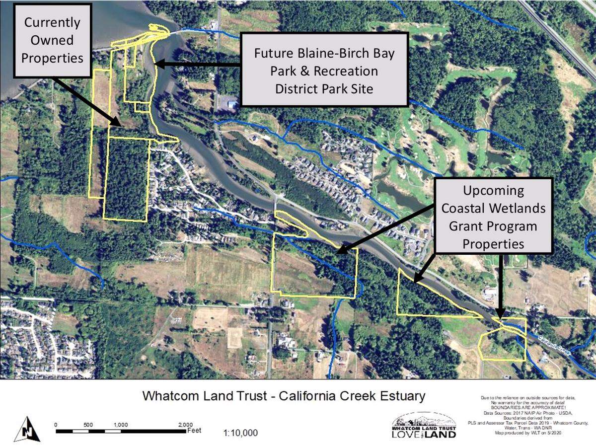 The Whatcom Land Trust, in partnership with the Washington state Department of Ecology, has received a federal grant to help buy and protect nearly 55 acres of coastal wetland habitat along California Creek in Whatcom County. This map also shows the 52.5 acres the land trust already owns along the creek, part of which will be turned into a park.