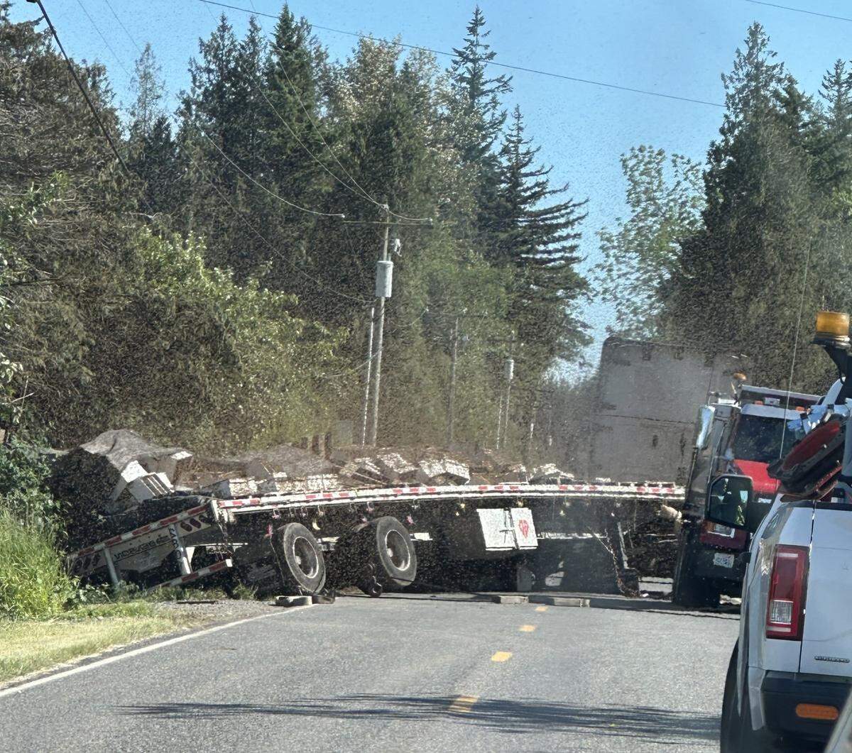 Millions of pollinating bees escaped a commercial transport vehicle after it rolled over on May 30 in Lynden.