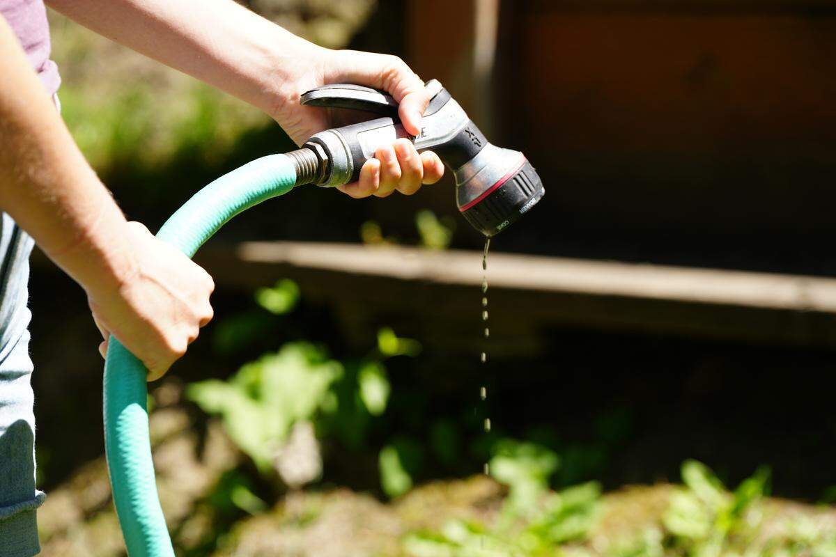 If dragging a hose around in the summer makes you weary or if your water bill soaks you in guilt, it is time to tame the thirsty plants in your garden with better soil, mulching and encouraging a deeper, wide root system.