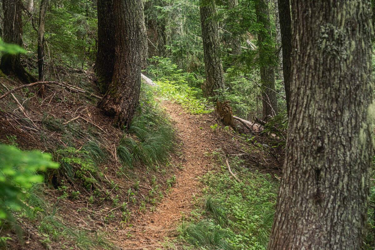 The Loowit Tier trail.