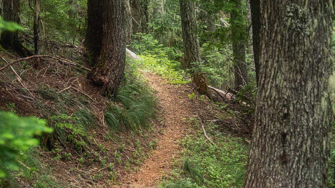 New WA stretch of biking’s answer to the Pacific Crest Trail is unveiled
