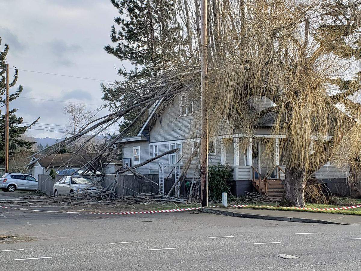 Tree branches fell on a house on Orleans Street near Maryland Street in Bellingham during a Thursday wind storm.