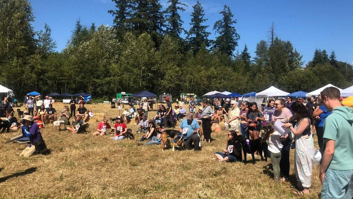 Whatcom Humane Society welcomes pups and their people at Dog Days festival