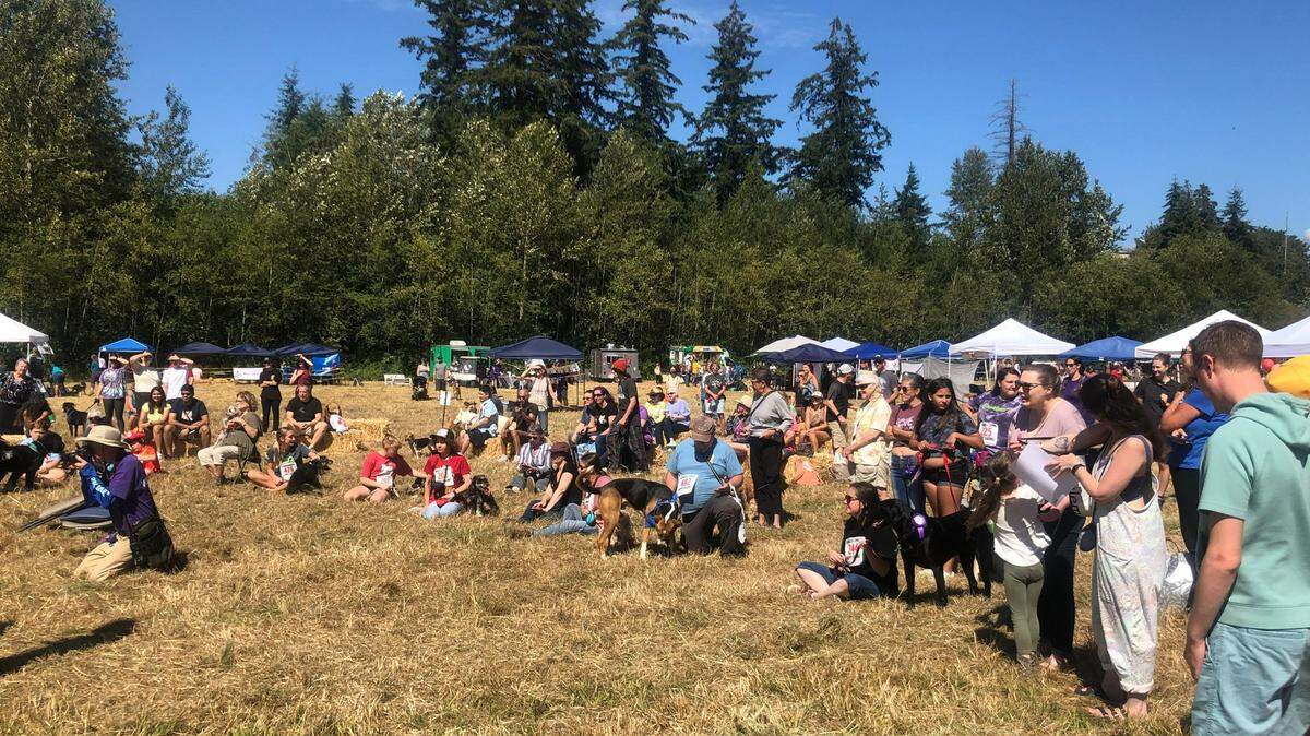 The crowd watches the best kisser dog contest at the Whatcom Humane Society’s 13th annual Dog Days of Summer Festival on Sunday, Aug. 28, in Bellingham.