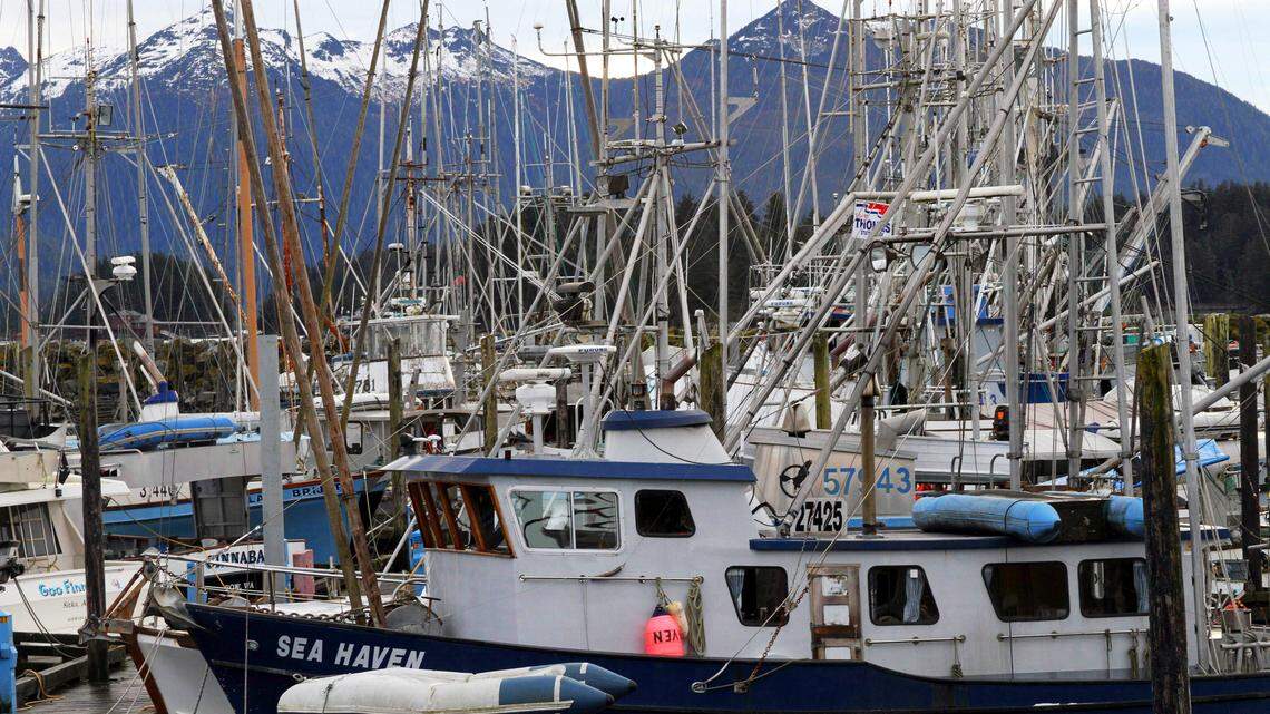 Masts rise from fishing vessels in Sitka, Alaska, in 2014, partially blocking the view of mountains. A new report from the Regional Economic Partnership at the Port of Bellingham indicates the local fishing fleet is dealing with a host of hurdles this summer, particularly for fishing boat captains who want to go to Alaska. Among those surveyed, more than 76% were planning to fish in Alaska.