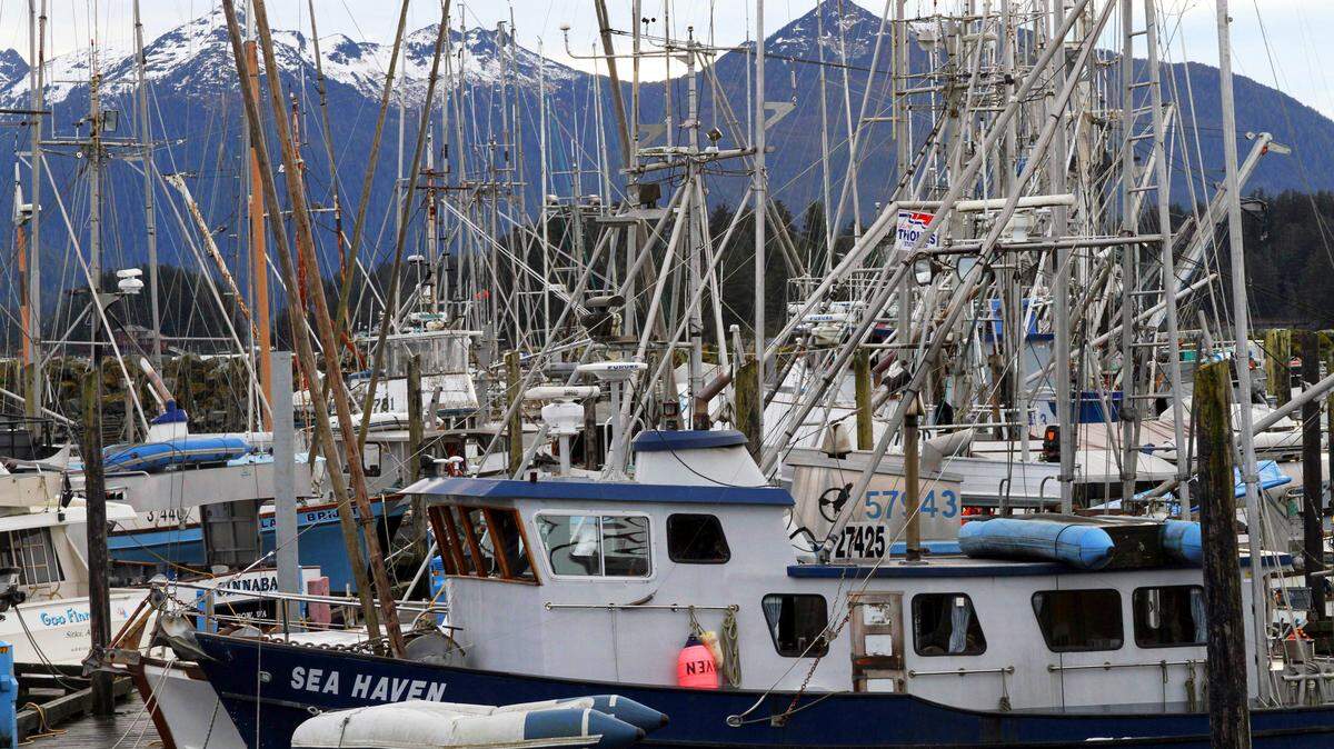 Masts rise from fishing vessels in Sitka, Alaska, in 2014, partially blocking the view of mountains. A new report from the Regional Economic Partnership at the Port of Bellingham indicates the local fishing fleet is dealing with a host of hurdles this summer, particularly for fishing boat captains who want to go to Alaska. Among those surveyed, more than 76% were planning to fish in Alaska.
