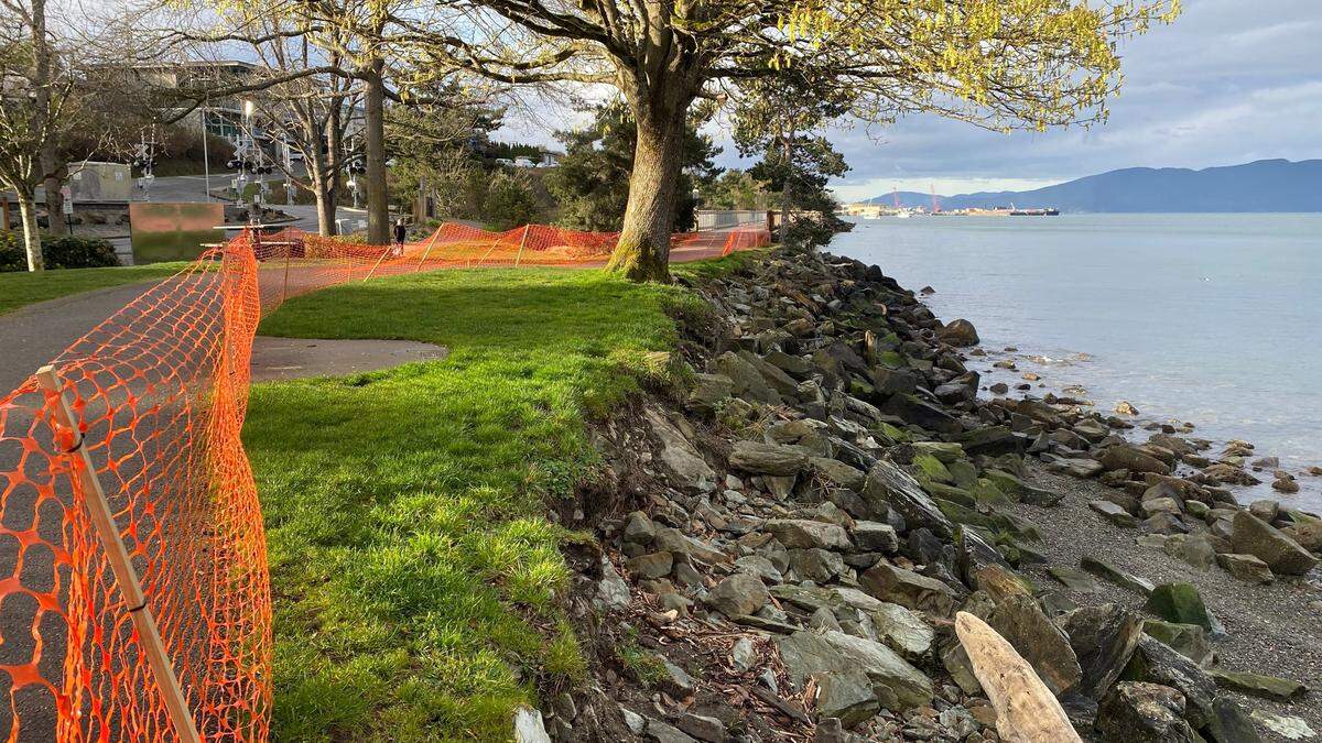 Strong waves over the past year have undermined part of the South Bay Trail in Boulevard Park south of Woods Coffee as shown in this photo Thursday.