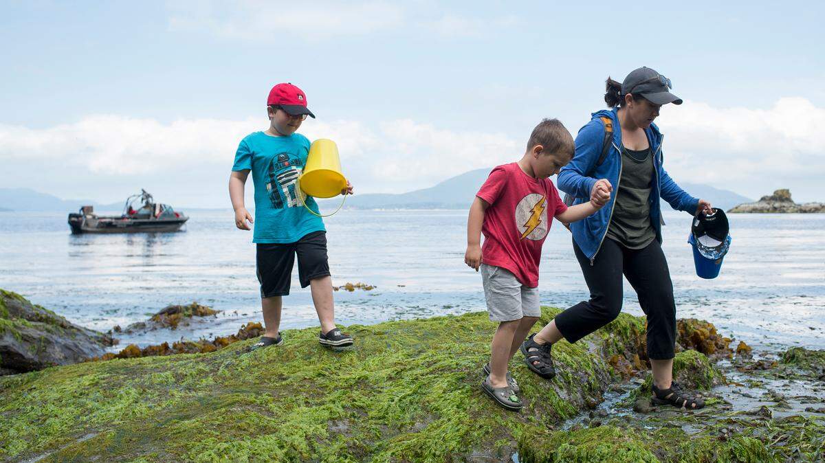 This Whatcom beach reveals a hidden world when the tide is out