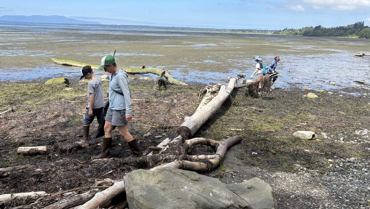 Volunteer Kai Breshem helps clean up Locust Beach in Whatcom County with her son, Hank, on July 5, 2026.