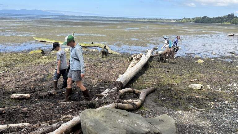Enjoy the fireworks? Here’s how much debris Bellingham volunteers collected