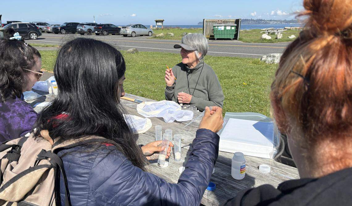 New Washington Bee Atlas volunteers prepare jars for bee collection at a training at Birch Bay State Park on April 24, 2026.