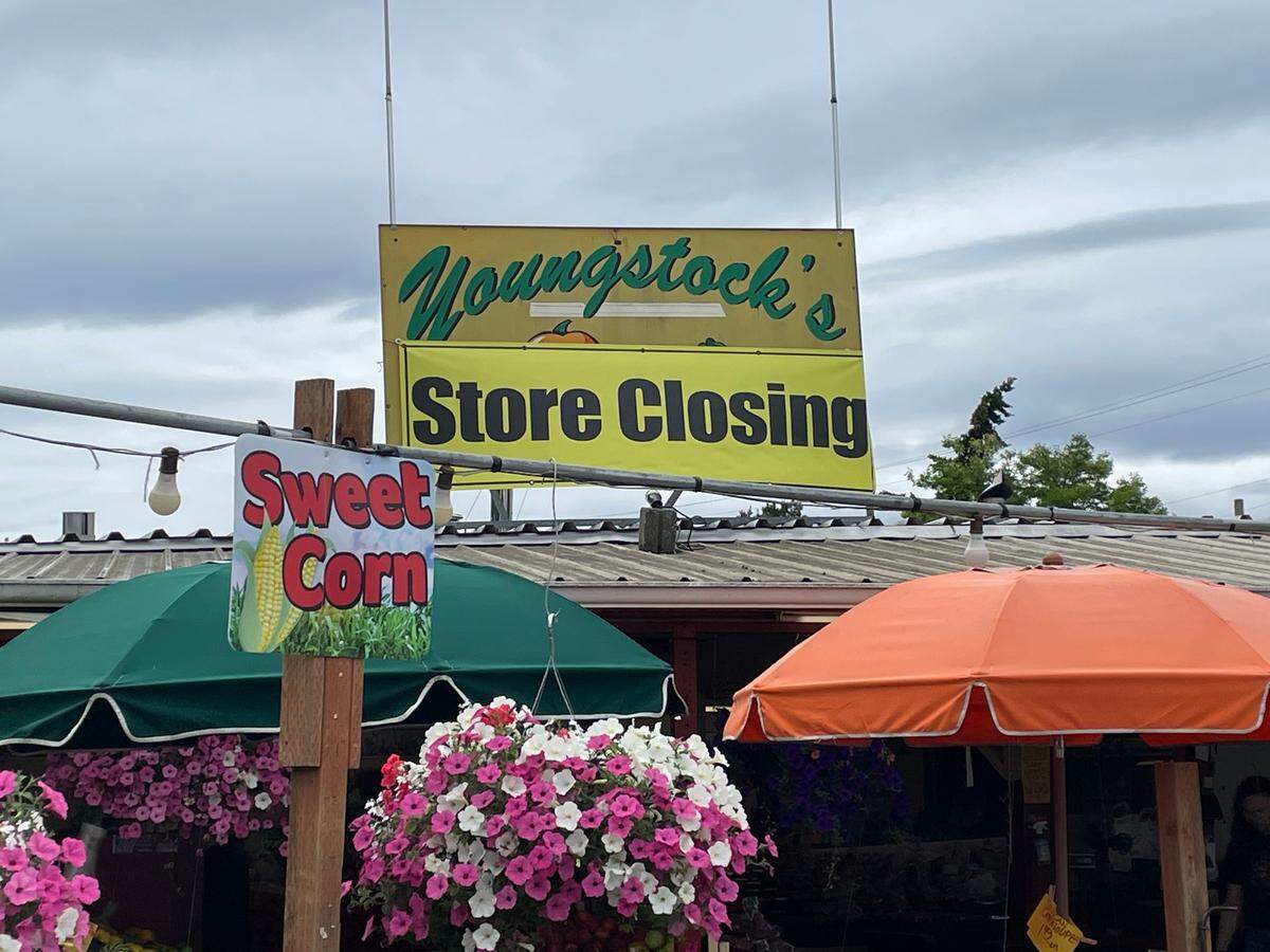 Judy Chartier and her husband, John, are retiring after running Youngstock’s Nursery & Produce for 50 years in Bellingham. The final day business is expected to be at the end of June.