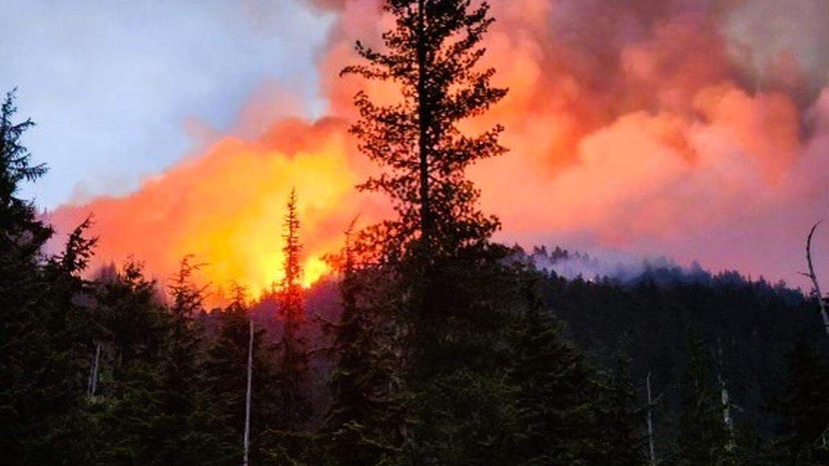 Wildfire runs through the crown of dense timber in the Okanogan-Wenatchee National Forest on the evening of July 17, 2024, approximately 20 air miles east of the Mazama community in the Methow Valley of Washington.