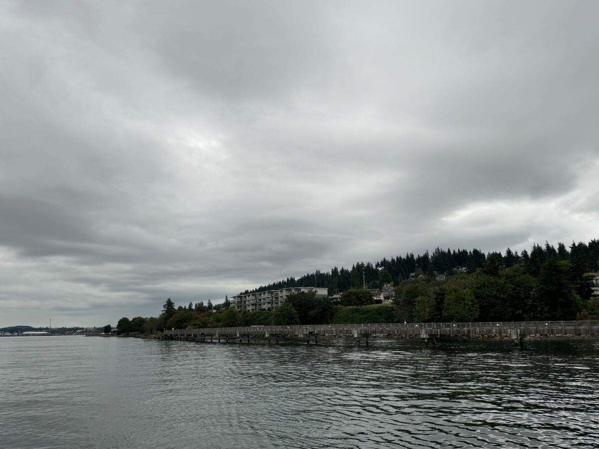 The view of Bellingham’s coast from the Whatcom Museum History Sunset Cruise on July 20, 2024.