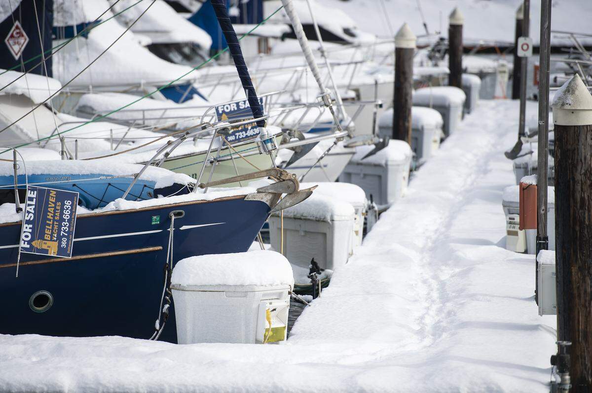 Snow covers the Squalicum Harbor docks on Wednesday in Bellingham.