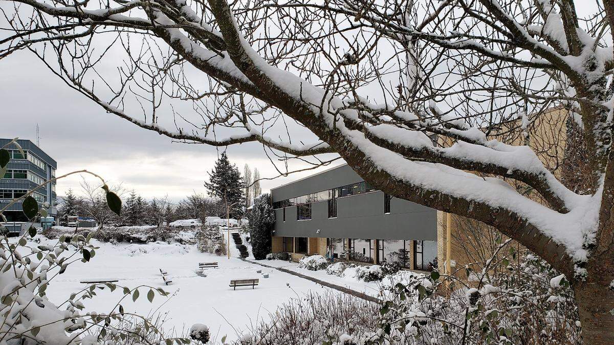 Snow covers the lawn of the Central Branch of Bellingham Public Library. The city and Whatcom County plan an overnight shelter during cold weather expected Monday and Tuesday, Nov. 7-8. Other winter-specific services are expected to be available later this season, including a daytime warming center at the Bellingham Public Library.