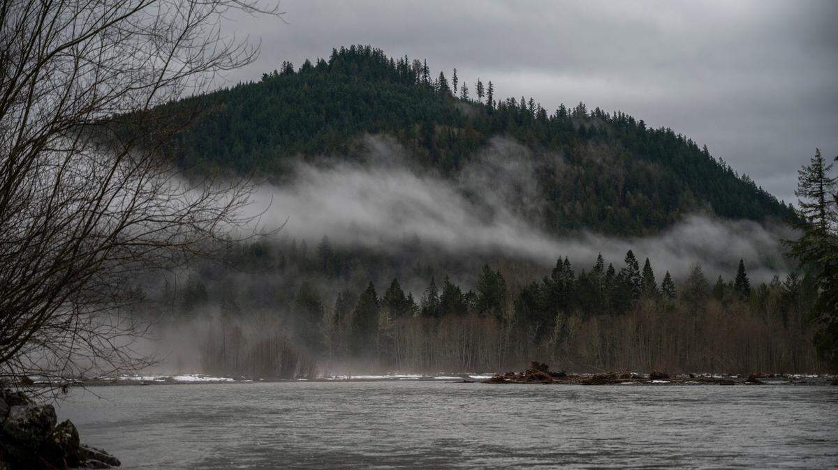 A misty morning along the North Fork of the Nooksack River in Whatcom County in January. The Nooksack watershed covers over 830 square miles in northwestern Washington and British Columbia.
