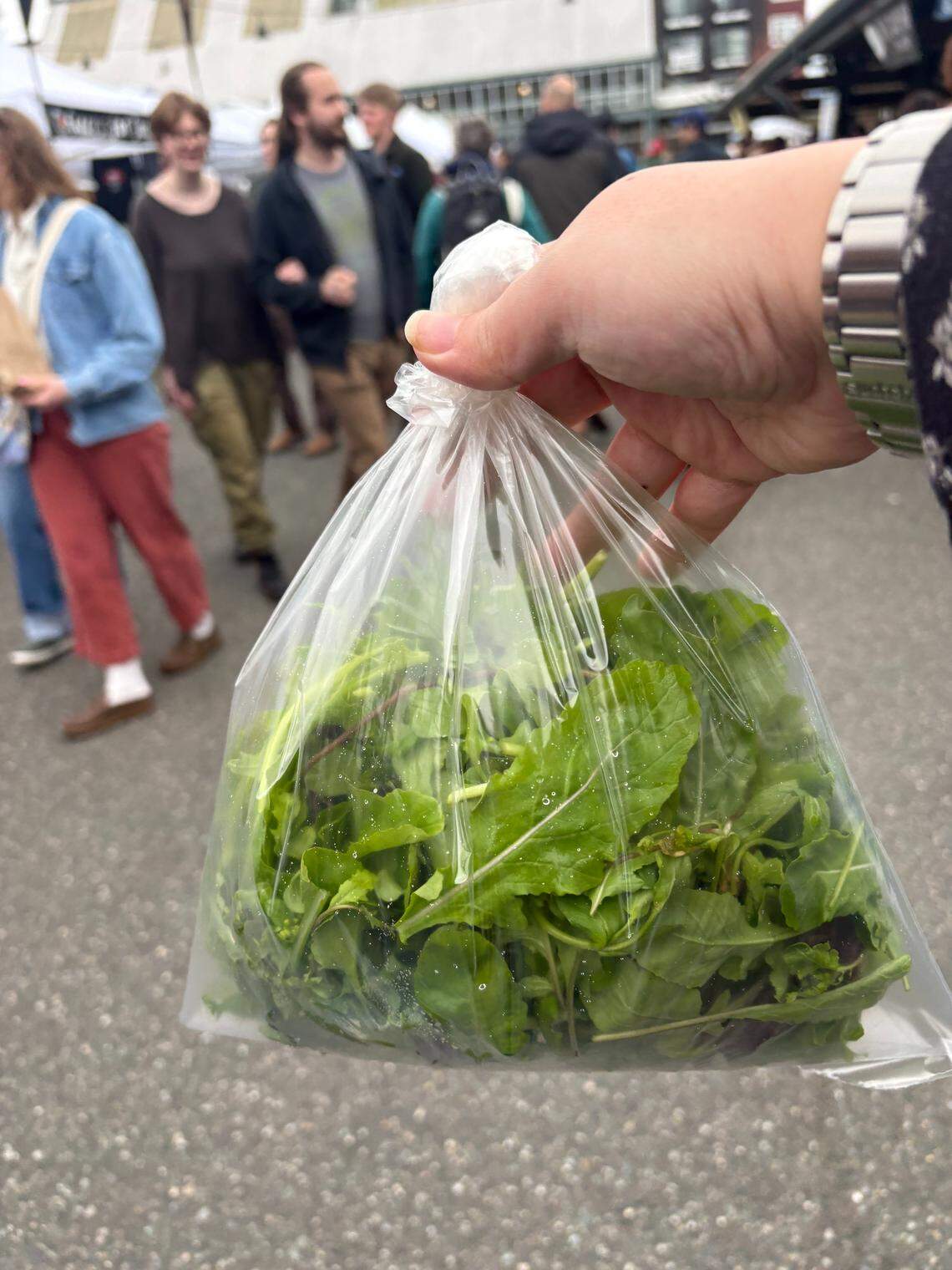 Salad mix from Mariposa Farms at the Bellingham Farmers Market. The market occurs every Saturday from 10a.m. to 2p.m.