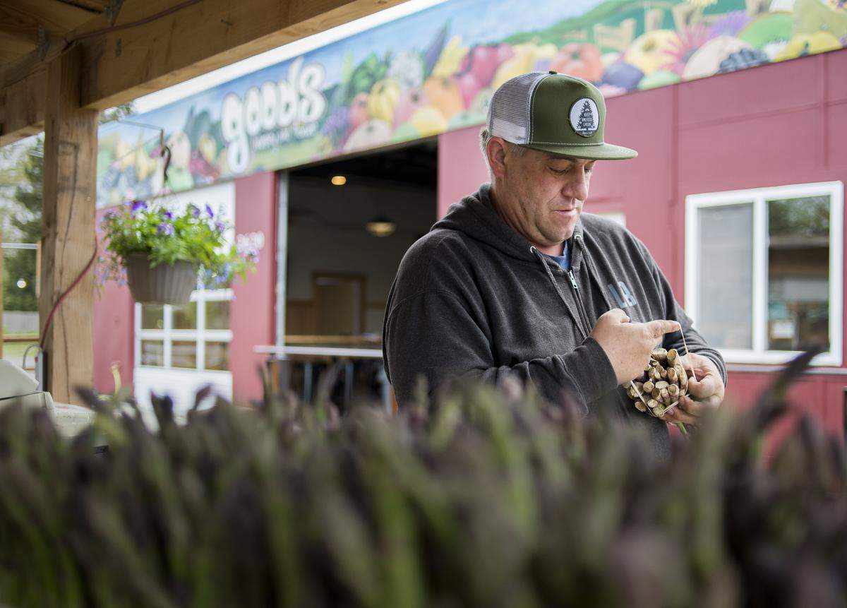 Cory Bakker, owner of Goods Nursery and Produce and Goods Local Brews, bundles asparagus in May 2018 in Bellingham. The business became the first in Whatcom County to get the OK from the health department to allow pet dogs in its outdoor patio.