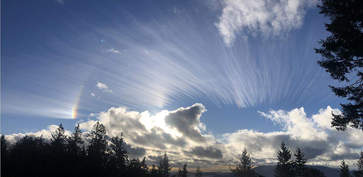 A reader shared this unusual cloud formation photographed Tuesday afternoon, Feb. 1, from Chuckanut Mountain, south of Bellingham. The National Weather Service said the clouds are cirrus fibratus. The more common clouds called cirrus uncinus, or mares’ tails, tend to have a more notable hook or comma shape at the end.