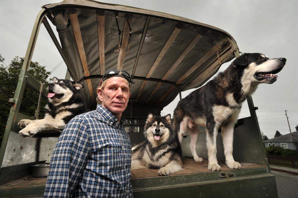 Gary Winkler poses with his three malamute dogs Junior, left, Polar and Fozian in the back of his Mercedes-Benz Unimog truck in 2012 in Bellingham. Polar went missing while Winkler was hiking near Twin Lakes, and he is asking for help finding her.
