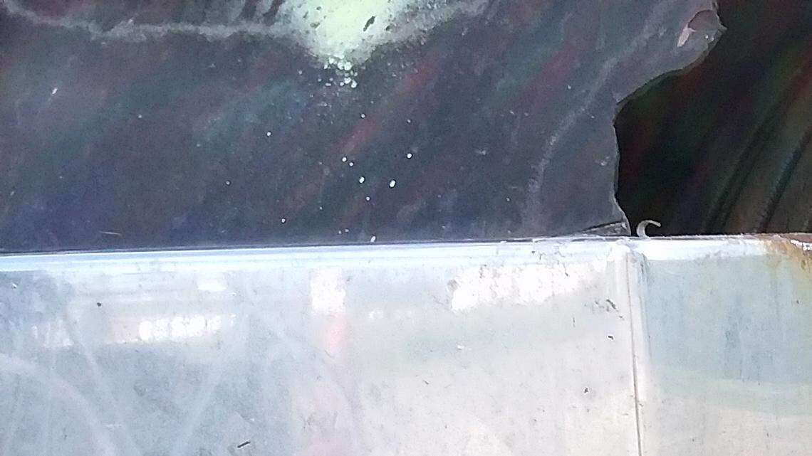 Most of the spikes you see sticking out of the lug nuts on semis are actually plastic, but because they extend beyond the truck body, they probably could be considered a violation of the law in Washington.